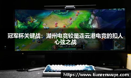 球速体育平台
