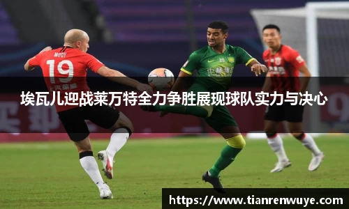 球速体育官网